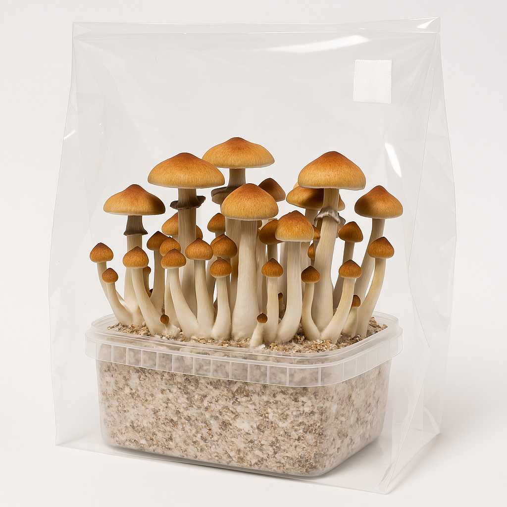 Mehr über den Artikel erfahren Growboxanleitung – So züchtest Du richtig!